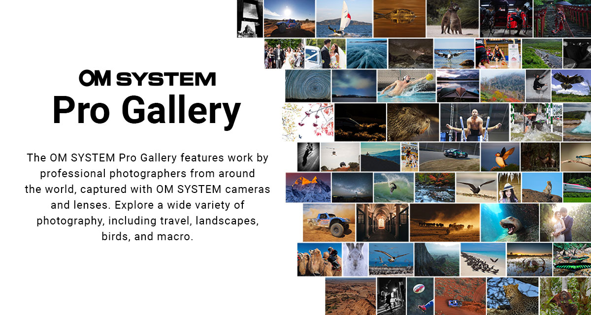 GLOBAL PRO GALLERY | OM SYSTEM